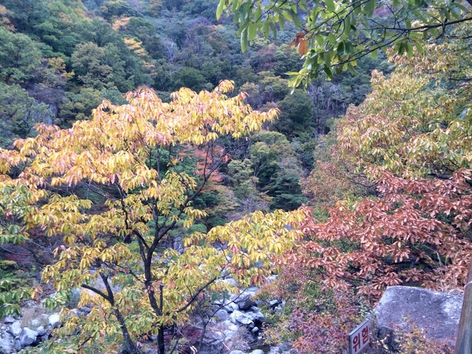 내연산악제 산행